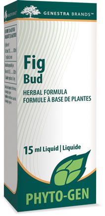 Fig Bud