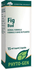 Fig Bud