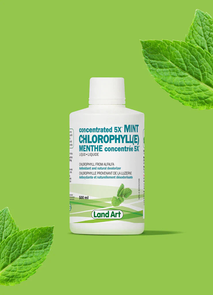 Chlorophylle 5X Liquide